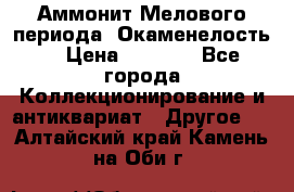 Аммонит Мелового периода. Окаменелость. › Цена ­ 2 800 - Все города Коллекционирование и антиквариат » Другое   . Алтайский край,Камень-на-Оби г.